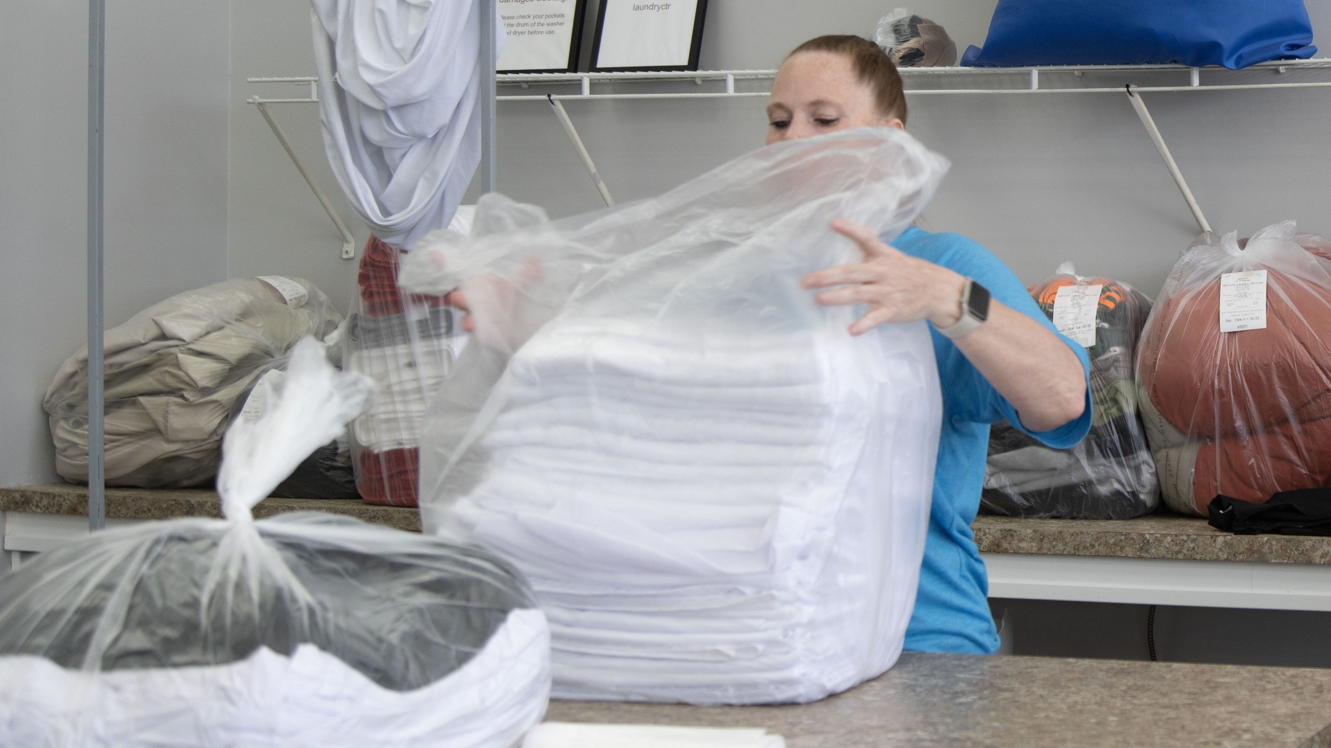 clean folded laundry delivery Detroit MI